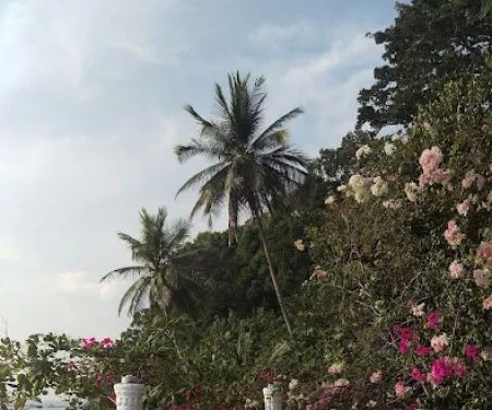 Suhaila Palace