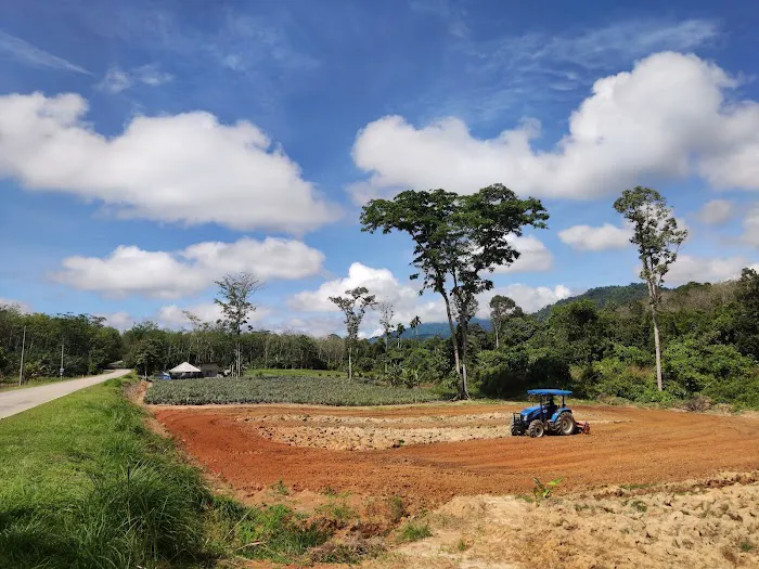 Jpine Agro Farm Picture 7