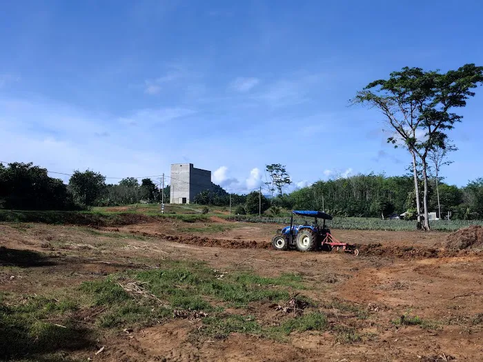 Jpine Agro Farm Picture 10