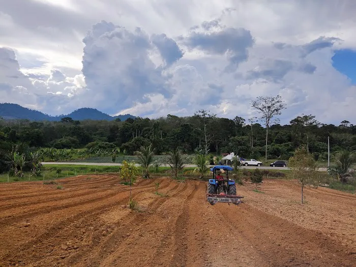 Jpine Agro Farm Picture 4
