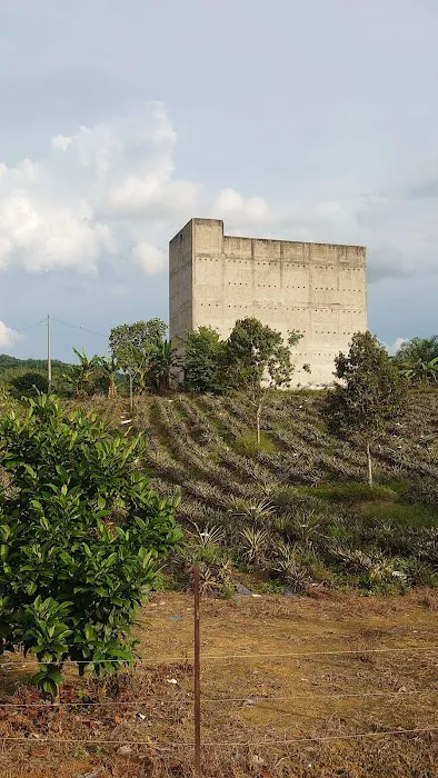 Jpine Agro Farm Picture 3