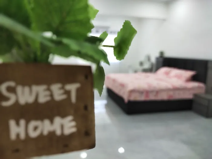 白舍恋人民宿 White Lover Homestay Picture 5
