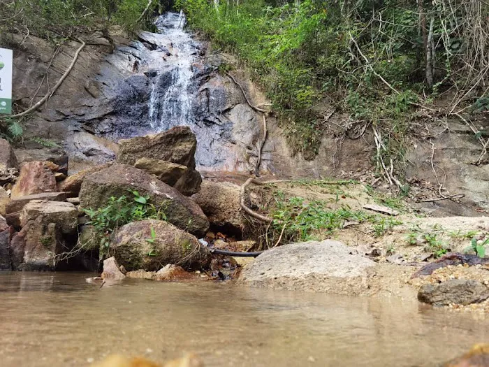 Zen Forest Malaysia Picture 3