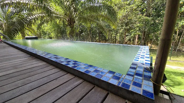 Zen Forest Malaysia Picture 5
