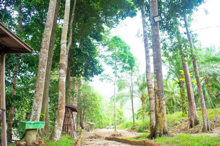 Zen Forest Malaysia Picture 10