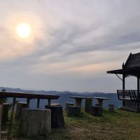 Zen Forest Malaysia ico