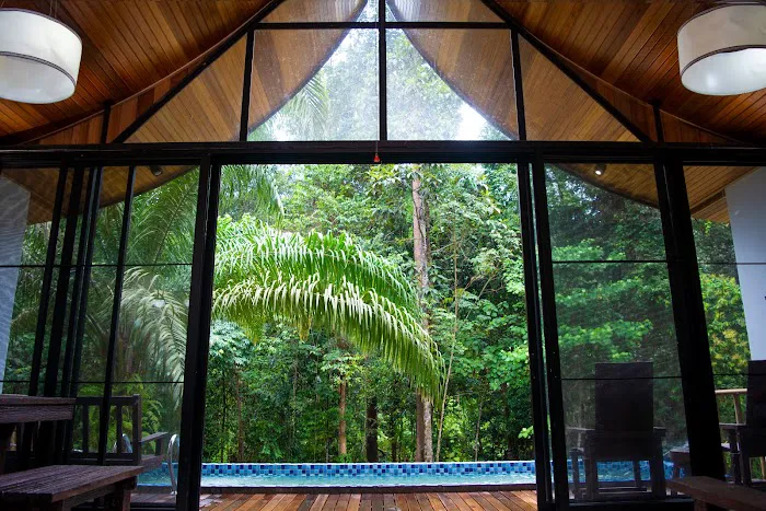 Zen Forest Malaysia Picture 9