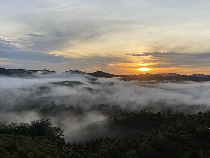 Karak Orchard Resorts Picture 2