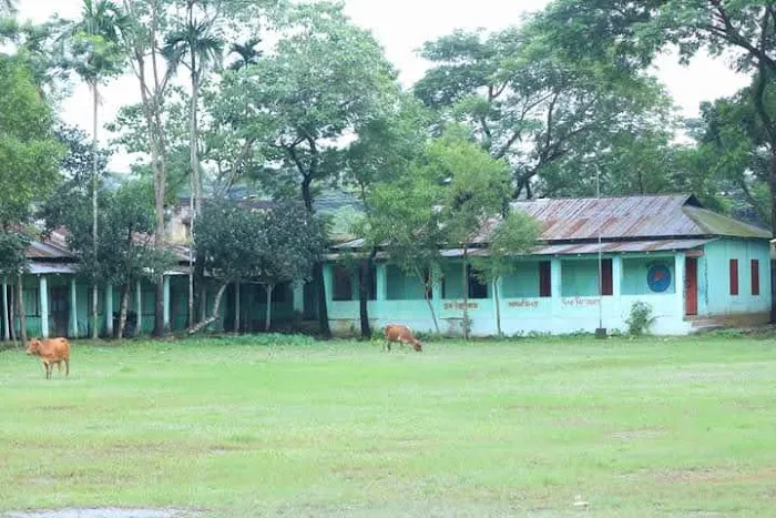 Zas Zahari Mediteranean Picture 4