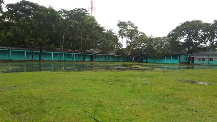 Zas Zahari Mediteranean Picture 5