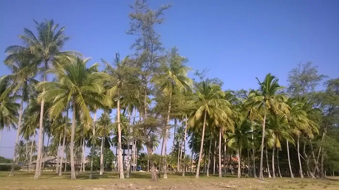 Tanjung Demong Beach Resort Picture 8