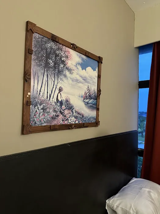 Cozy Fox hotel Picture 4