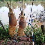 Homestay Bonda Kuala Selangor