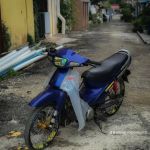 Rumah sewa che nah