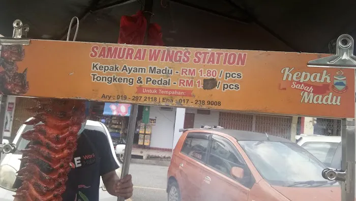 Samurai wing Picture 7