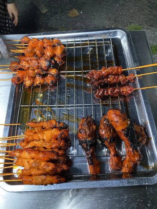 Samurai wing Picture 2