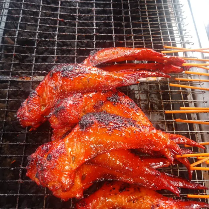 Samurai wing Picture 10