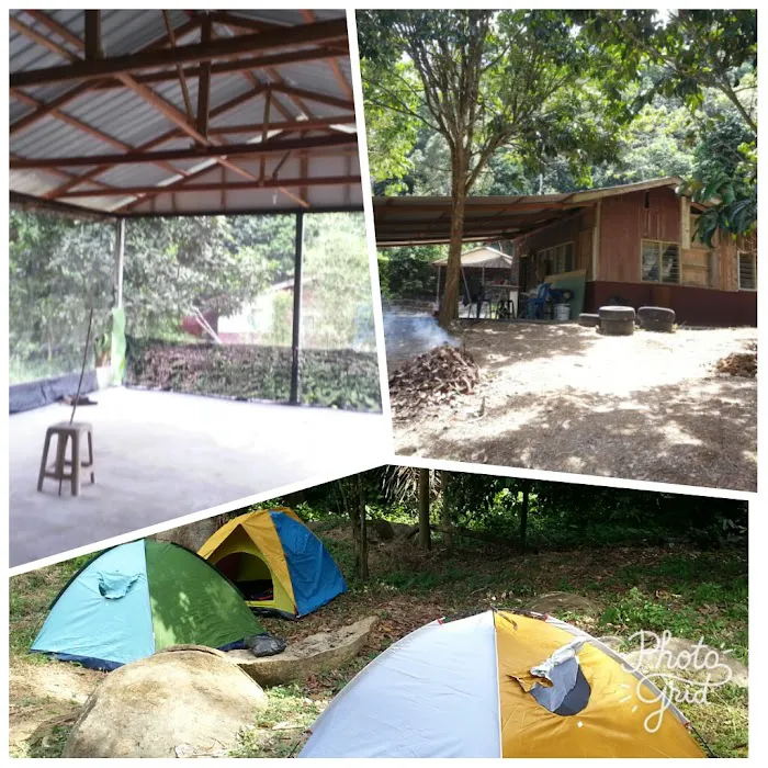 Backpackers Inn Picture 3
