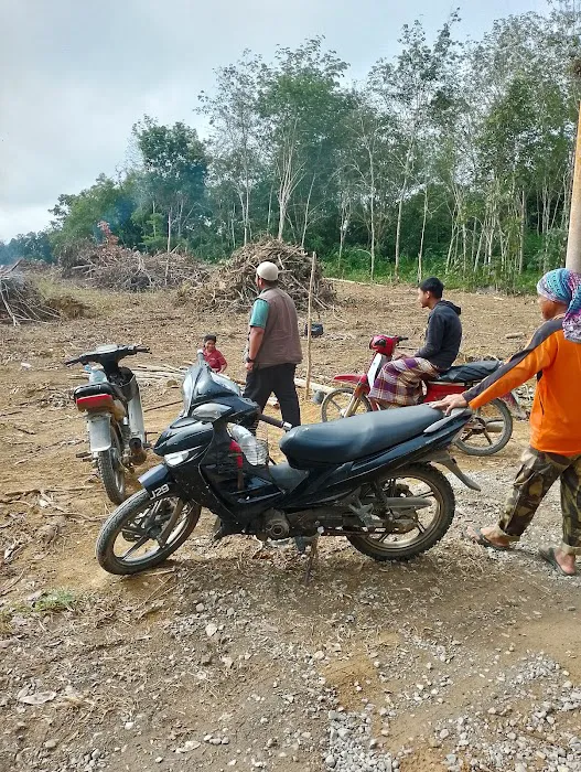 Kg Batu Balak Picture 8