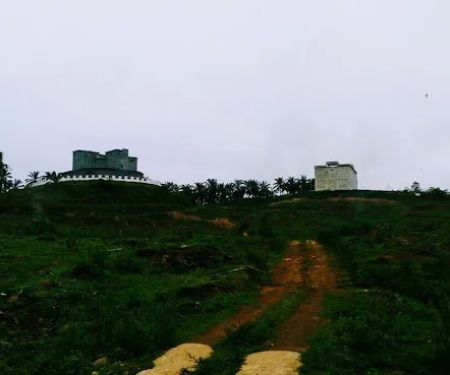 31DecemberFarmStay
