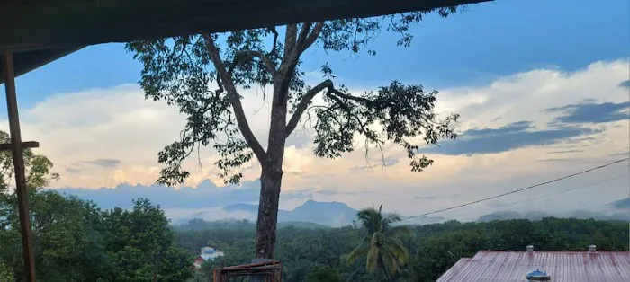 Dynaton homeStay Picture 8