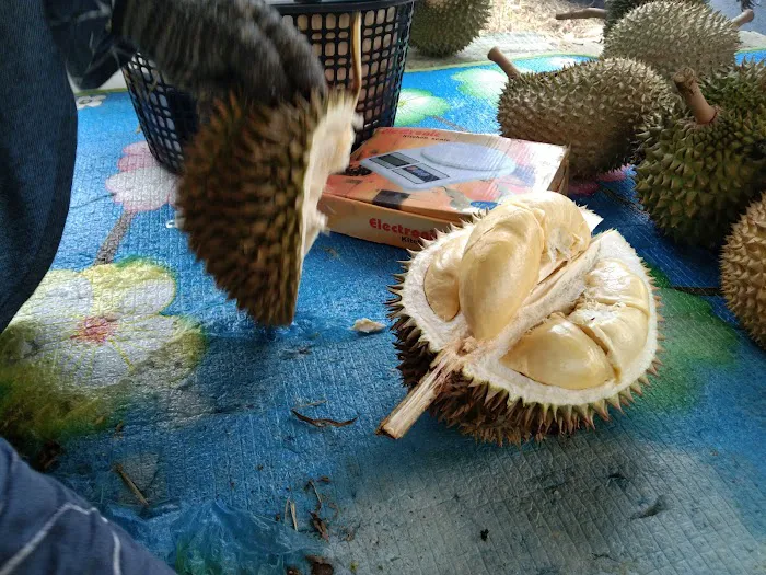 Batik Aisyah & Durian Warisan Haji Salleh Picture 3