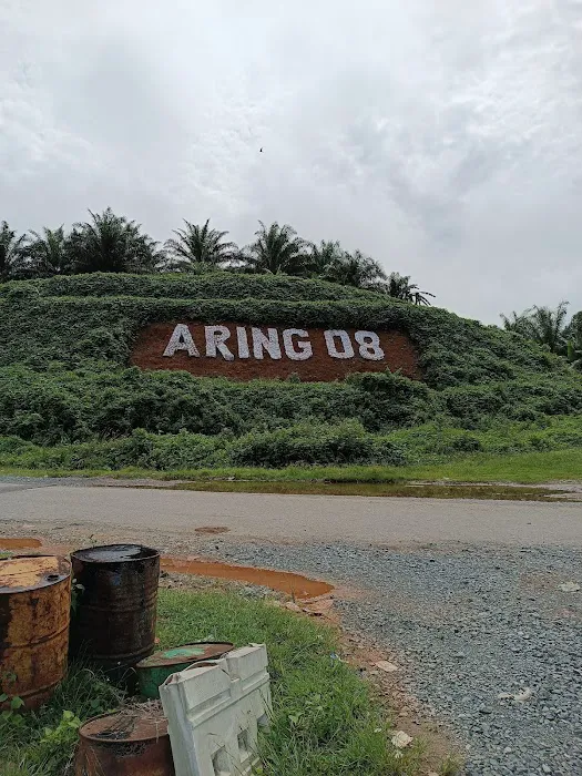 Felda Aring Picture 1