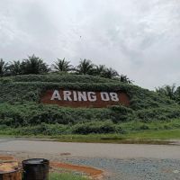 Felda Aring ico
