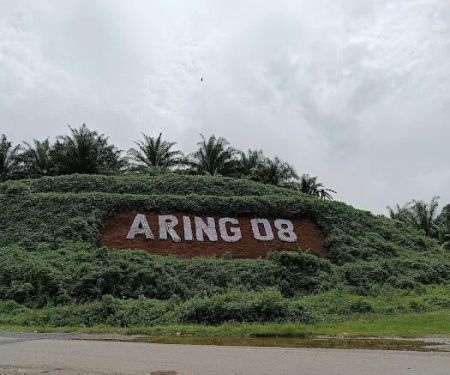 Felda Aring