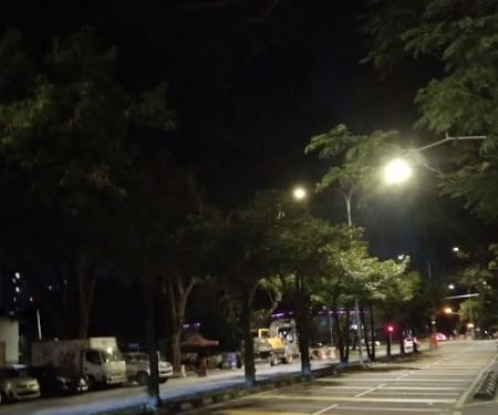 Taman Ikan Emas