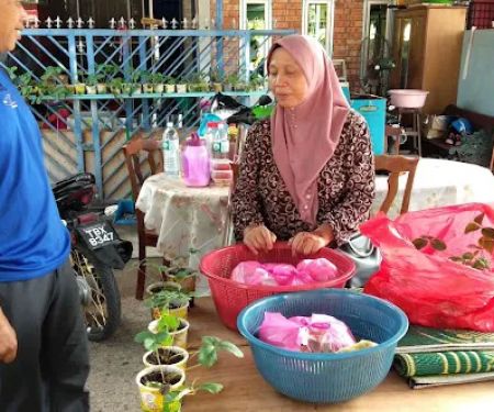 Homestay Idaman Mentakab (TTI)