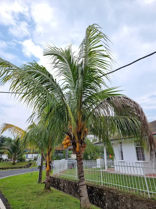 Bayu Kencana Guest House - Homestay Lembah Beringin Picture 4