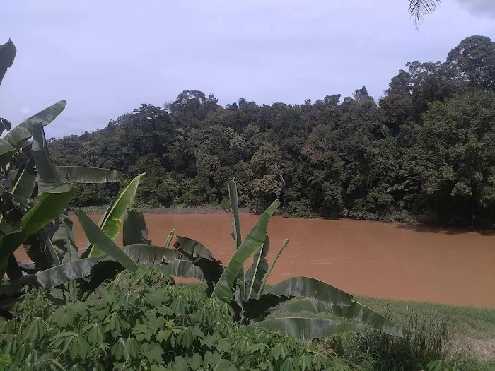 Hotel Jelai Picture 10