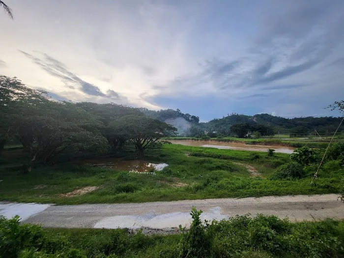 Kampung Binjai, Kuala Lipis, Pahang Picture 6