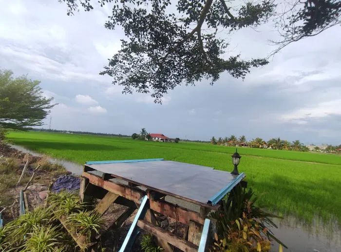 Laman Opah Picture 5