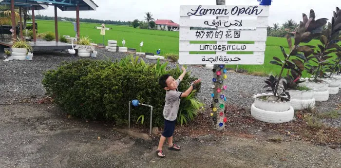 Laman Opah Picture 6