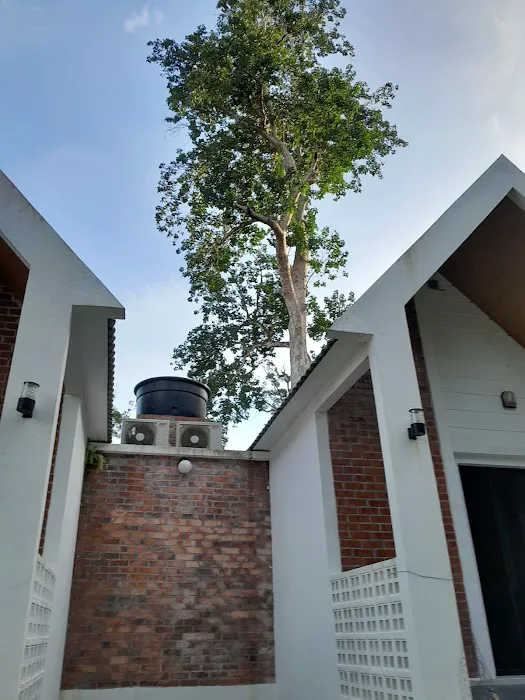 Tamu Rimba Chalet Picture 10
