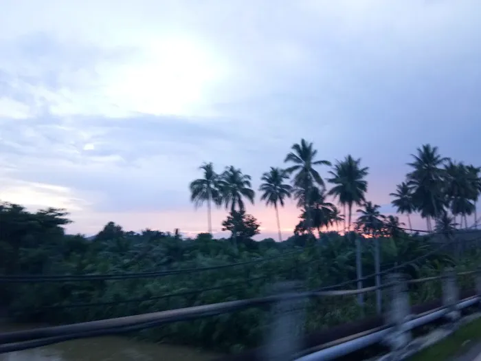 JTM 21,Slim Village Picture 6