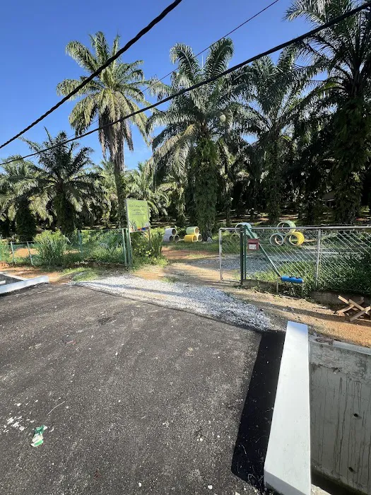 Slim Village Palm House Picture 1