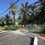 Slim Village Palm House