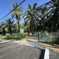 Slim Village Palm House ico