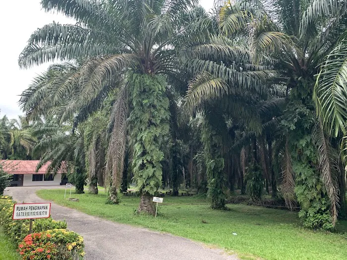 Akademi RISDA Estates Picture 6
