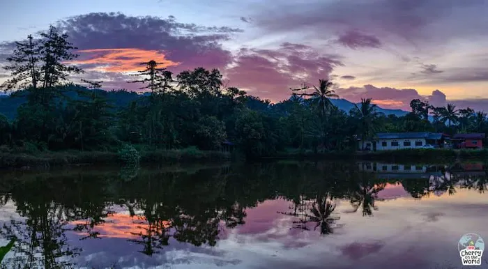 Studio Orang Kampung Picture 2