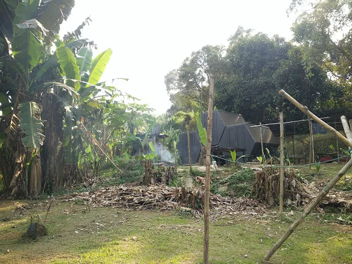 The Orchard Raub Picture 2
