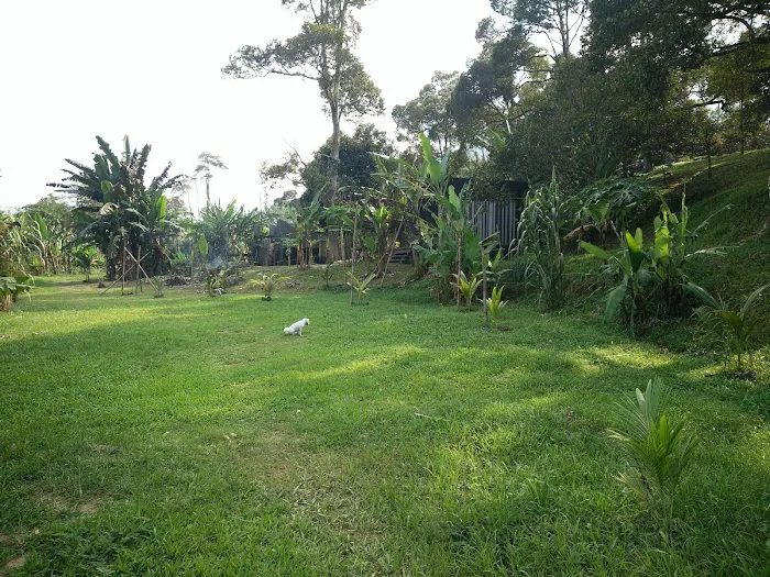 The Orchard Raub Picture 5