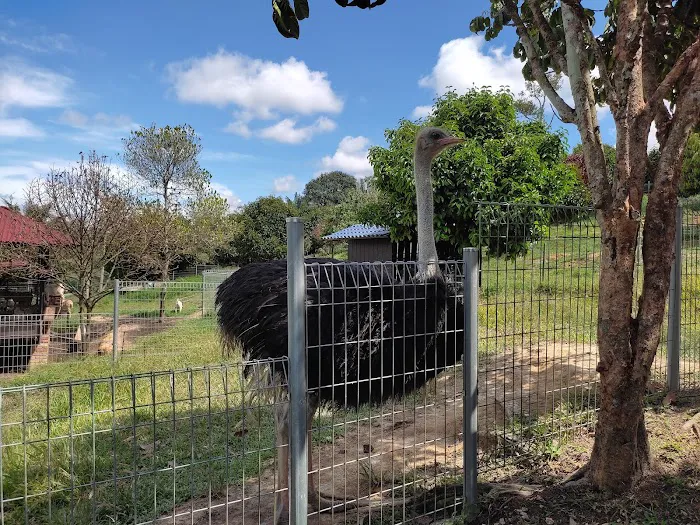 D' Bilut Agrofarm & Retreat Picture 2
