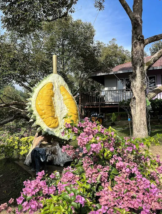 Bilut Hills Eco Resort Picture 6