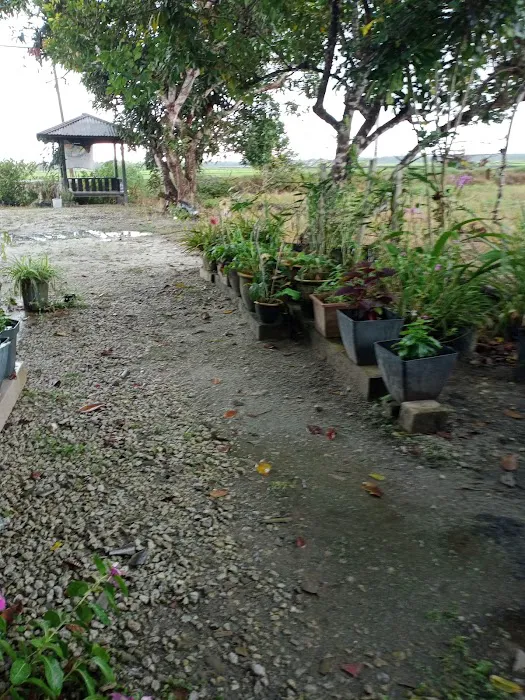 Acik Yah Roomstay Picture 5