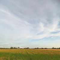 Homestay Teratak Anggerik Vanilla ico