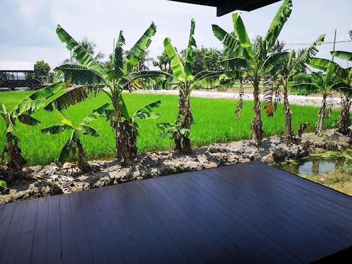 Homestay Omah Sawah Hj Saroni Picture 5
